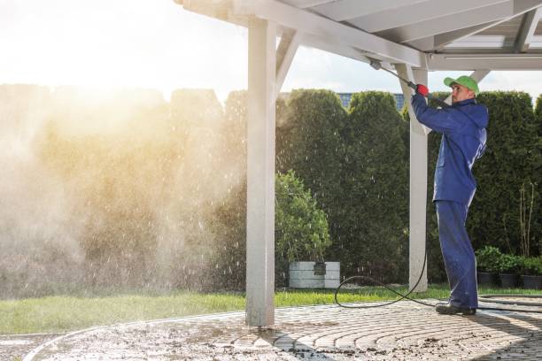 Best Solar Panel Cleaning  in Cementon, PA
